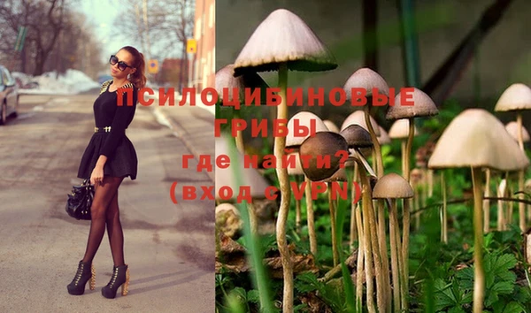 кокс Медвежьегорск