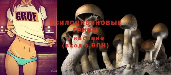 стафф Медногорск