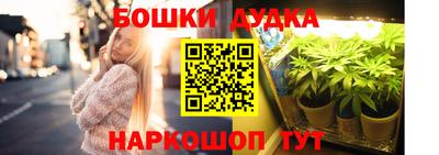 крисы Коммунар