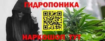 крисы Коммунар