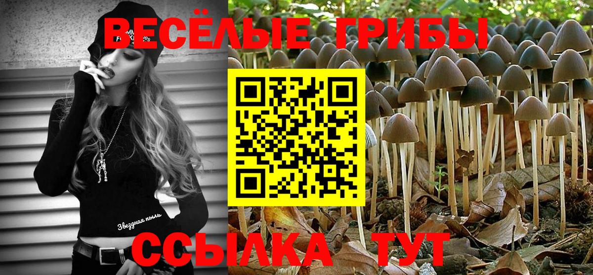 Галлюциногенные грибы ЛСД  Вход с VPN  Мыски  хочу наркоту  Псилоцибиновые грибы ЛСД 