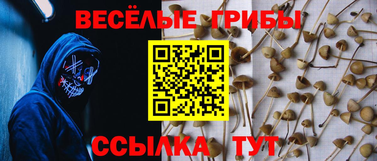 Псилоцибиновые грибы прущие грибы Мыски