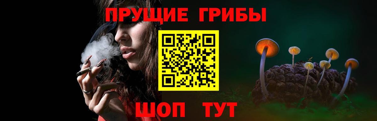 Галлюциногенные грибы MAGIC MUSHROOMS Мыски